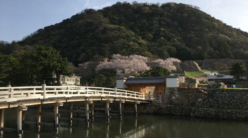 史跡鳥取城跡擬宝珠橋復元工事　【特別賞】 文化財である城跡の木造橋を日本初の工法で復元 史跡鳥取城跡擬宝珠橋